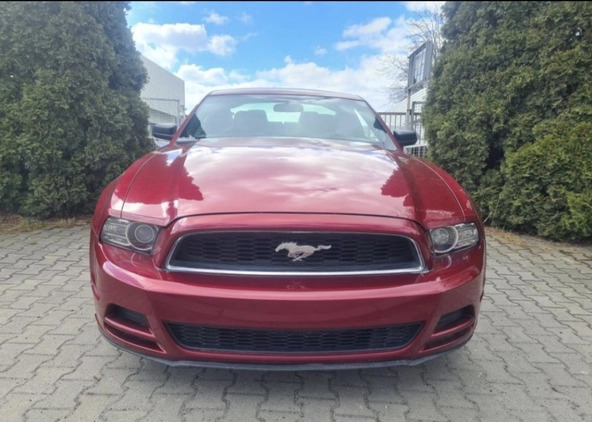 Ford Mustang cena 56800 przebieg: 177900, rok produkcji 2014 z Drobin małe 79